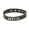 X-Play “bitch” Collar – Black -Toys Verkoop ALL2028BLK 1