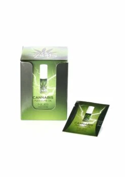 Display Box 12 OH! HOLY MARY