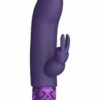 Dazzling – Rechargeable Silicone Bullet – Purple 1 Dazzling – Rechargeable Silicone Bullet – Purple -Toys Verkoop ROY012PUR 1