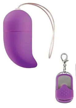 10 Speed Remote Vibrating Egg Purple G-Spot MEDIUM